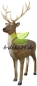 Preview: Hirsch, stehend (AF-0178)