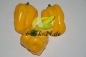 Preview: 3 gelbe Paprika (AF-0404)