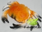 Preview: Krabbe (AF-0555/13423)