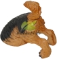 Preview: buddelnder Hund (AF-0775/A934)