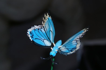 Gartenstecker, Schmetterling, sehr groß, blau (GS-0003)hr groß, grün (GS-0007)