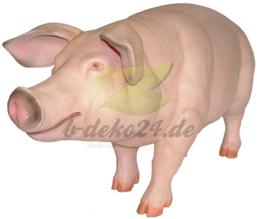 Schwein, stehend (AF-0173)