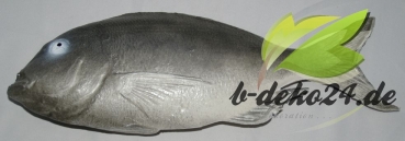 Barsch, grau (AF-0546/13414)