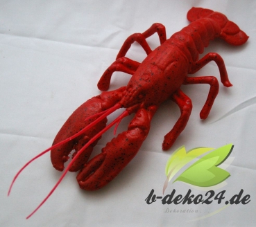 Hummer, mittel (AF-0557/13402)
