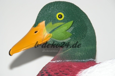 Ente (AF-0772)