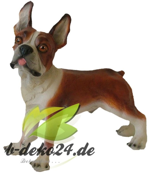 Bulldogge, klein, stehend (AF-0137)