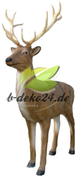 Hirsch, stehend (AF-0178)