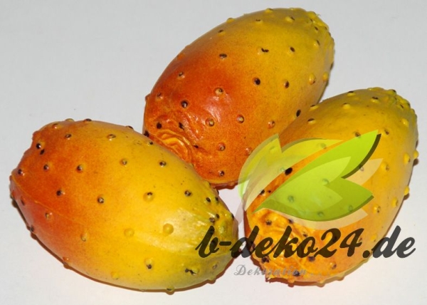 3 indische Feigen (AF-0330/01045)