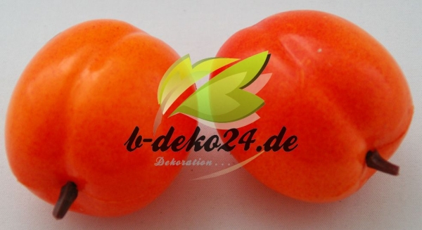 2 Aprikosen (AF-0336)