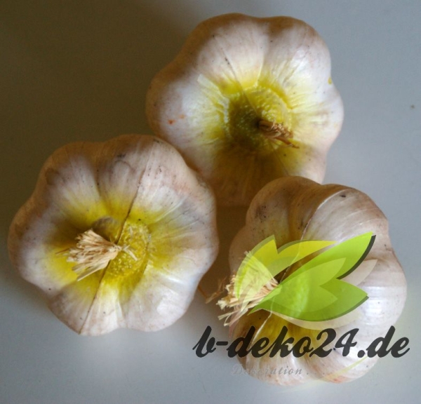 3 Knoblauchknollen (AF-0390)