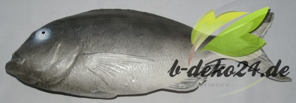 Barsch, grau (AF-0546/13414)