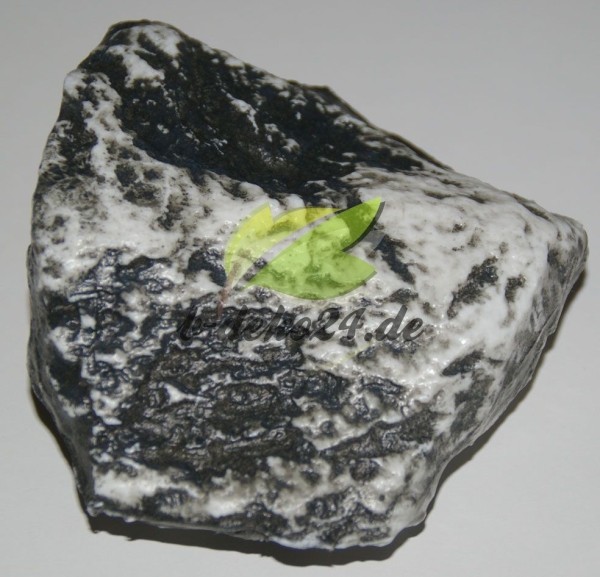 Stein