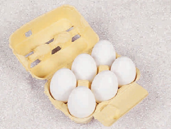 Box mit 6 Eier, braun (AF-0484/16542)