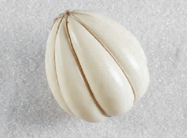 Provolone