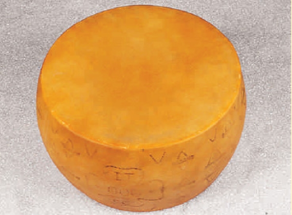 Padano (AF-0505)
