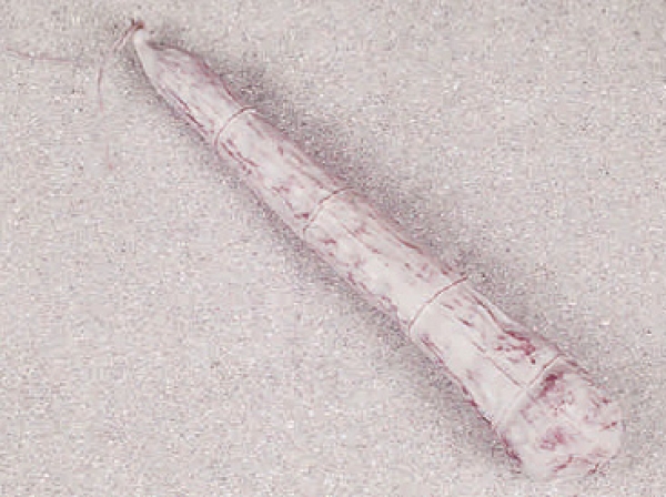 Felinosalami (AF-0537)