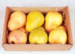 Box mit 6 Birnen (AF-0366)